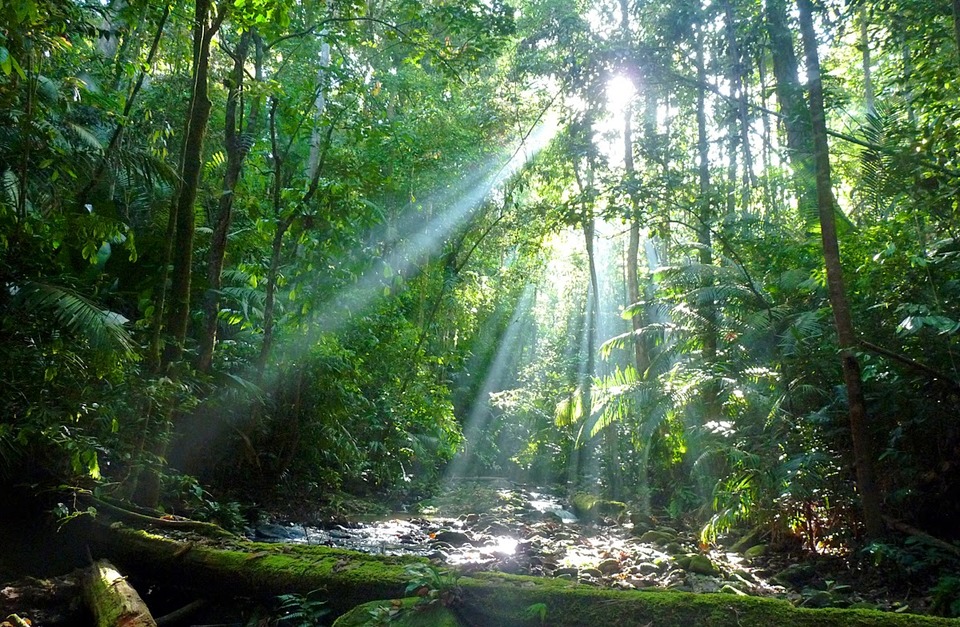 马来西亚的10个旅行理由，马来西亚旅游攻略图文