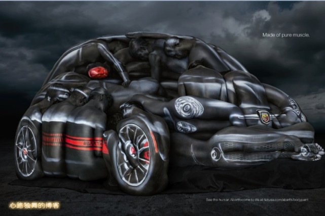 艺术家用自然物制作的作品图片,艺术家用自然的图案变成图谱