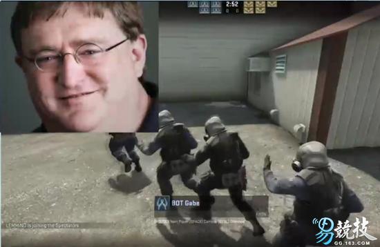 仓鼠你不知道的冷知识,长沙你不知道的冷知识