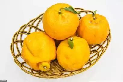 丑橘是越丑越好吃吗,丑橘怎么挑选最好吃