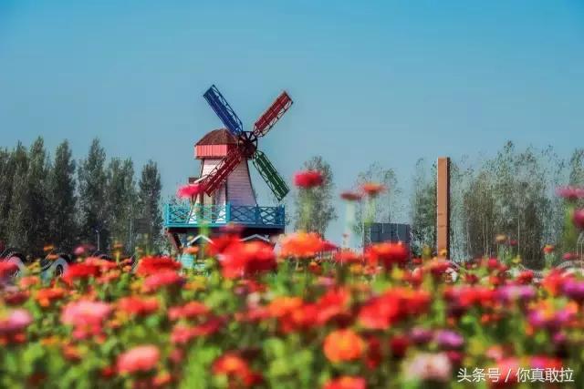 临沂三区九县改成什么了,临沂市三区九县名称