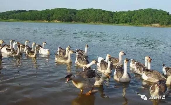 吉林省旅游五一景点推荐,五一游玩吉林出发