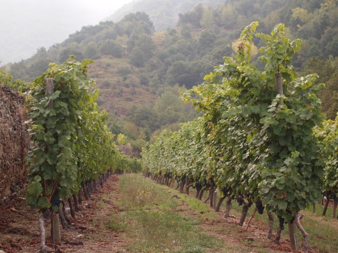 鍔犲埄瑗夸簹缇庨鎺ㄨ崘,鍔犲埄瑗夸簹缇庨鏀荤暐