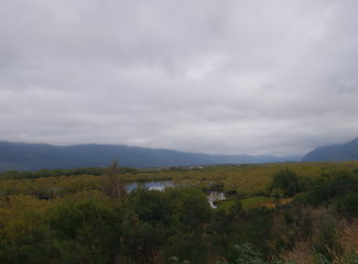 致敬·新西兰OnceisforAll