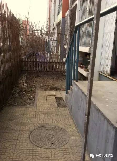 长春小区围墙被推倒,长春绿地违建拆除名单