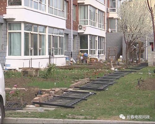 长春小区围墙被推倒,长春绿地违建拆除名单