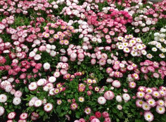 新西兰全景巴士,那些自驾游来不及知道的事儿(北岛+南岛超多公共交通实用信息各类购票详细教程InterCity)