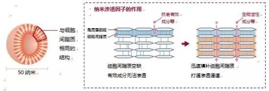 国产便宜又好用的日化品,日化用品推荐平价好用
