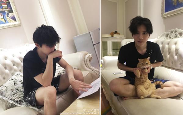 井柏然张若昀红毯,井柏然张若昀机场视频