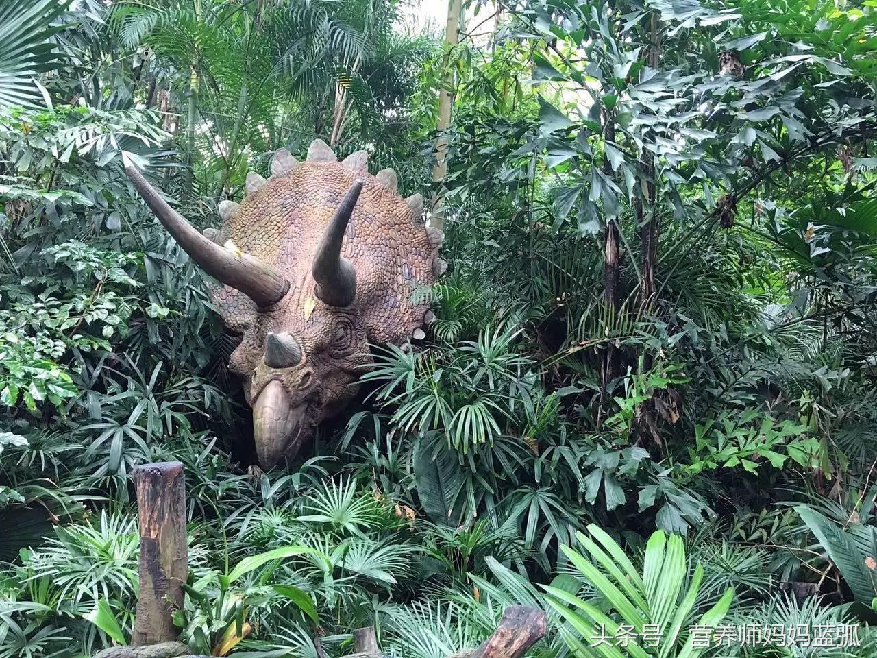 暑假长隆海洋王国游玩感受,海洋王国好玩还是长隆野生动物园