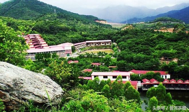 云南普洱茶名山名寨口感,老乌山普洱茶口感和哪个名山相似