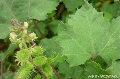 80后的我们重拾旧时光图片,80后怀念时光的图片