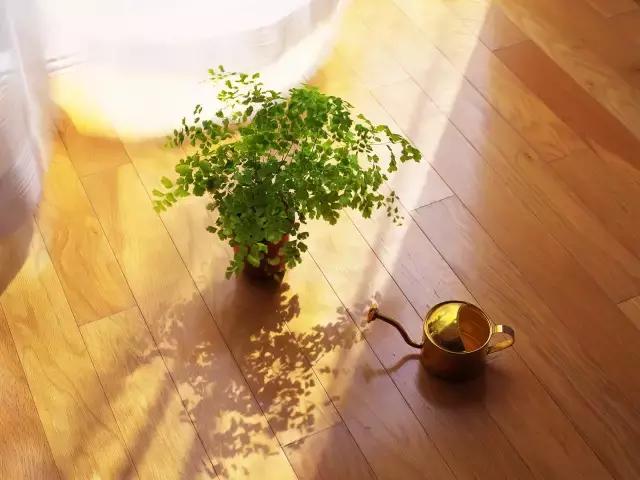 因病去世随笔,生病离世的随笔