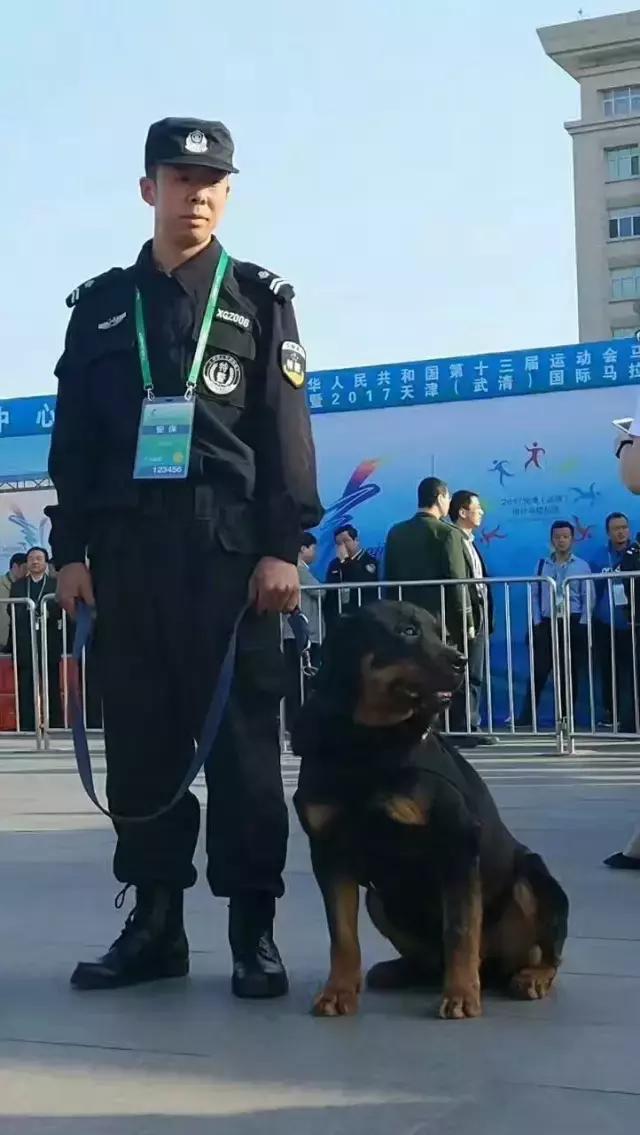 天津黄崖关长城国际马拉松,天津全运马拉松路线