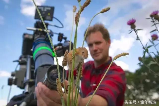 假期一定要带孩子看的5部纪录片,孩子必看的10部自然纪录片