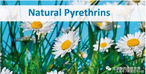 给宝宝驱蚊用什么安全又有效,如何给宝宝选择驱蚊产品