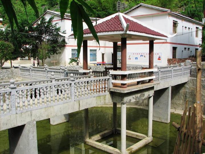 田东大石山区有个别墅村，蔬菜种在屋顶上