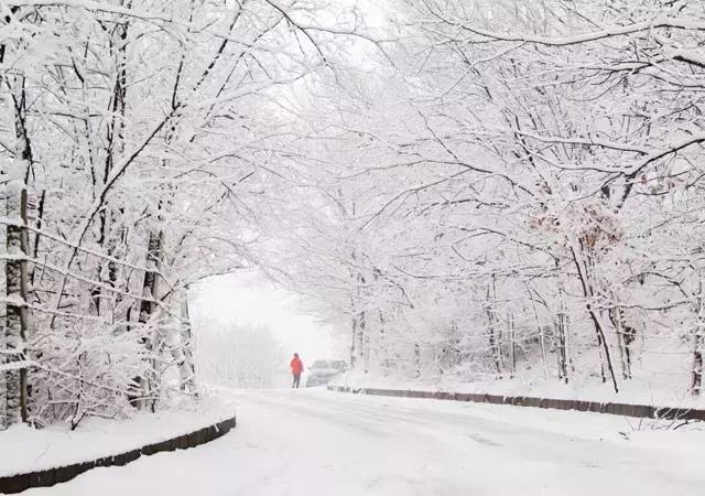 此生余年，和你一起看漫天雪舞