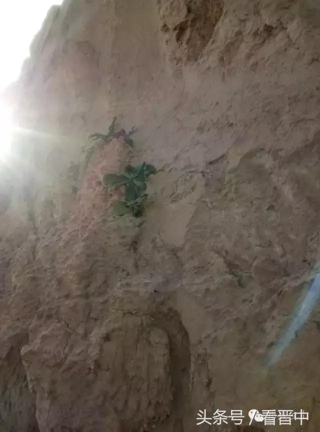 祁县三个村,祁县所有村名单