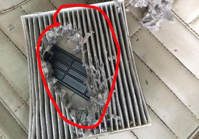 发动机线路被老鼠咬了还能开吗,老鼠咬破发动机舱什么线不能启动