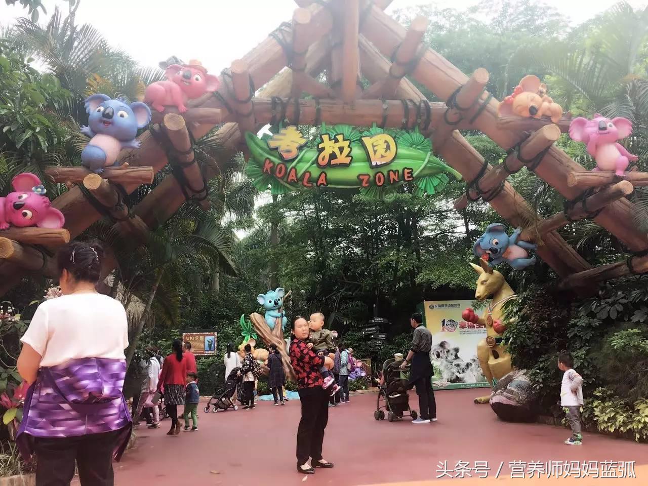 暑假长隆海洋王国游玩感受,海洋王国好玩还是长隆野生动物园