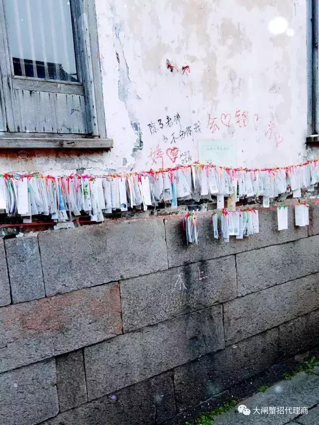 阳澄湖大闸蟹判断真伪,如何判断阳澄湖大闸蟹是否为正品