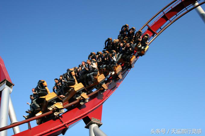 丹麦生蚝成灾救灾,丹麦生蚝泛滥成灾人民的名义