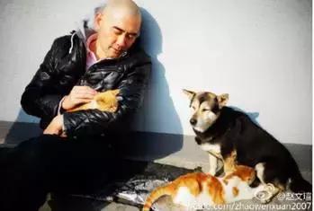 古牧真的很难养吗,古牧被遗弃了