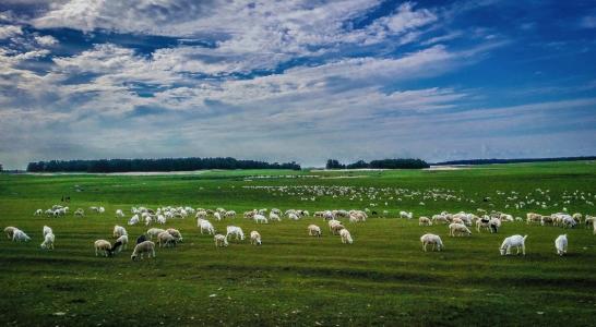 五一周边旅游景点推荐表,五一去哪里旅游最好景点推荐