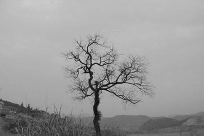 photoshop怎么快速框选抠图,如何用photoshop快速抠图