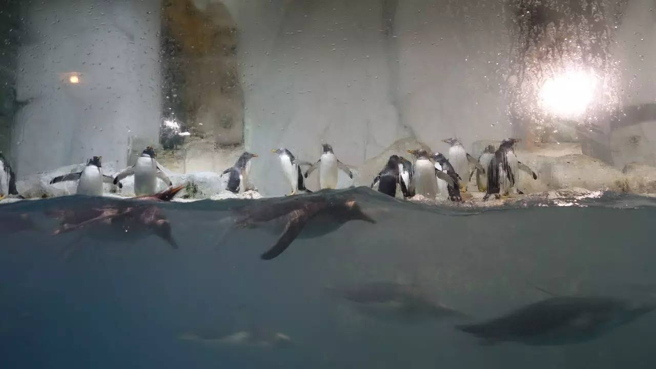 大连好玩的地方滨海路,大连东北路有什么好玩的