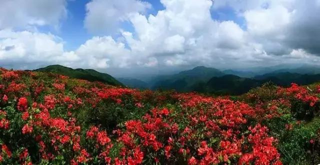 跟着小路旅游不迷路,婺源五一适合去哪里玩