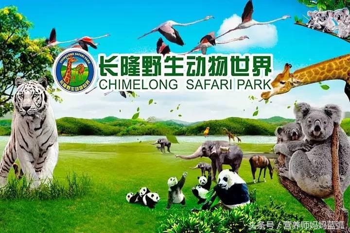 广州长隆海洋王国一日游攻略,广州长隆海洋王国亲子攻略