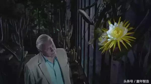 假期一定要带孩子看的5部纪录片,孩子必看的10部自然纪录片