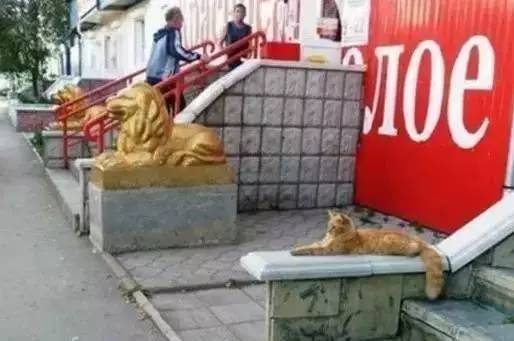 都说IT销售NB，看完我真信了~