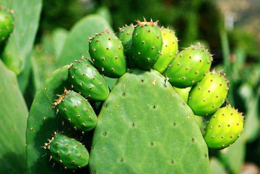 胶原蛋白怎么补男生,胶原蛋白抗皱原液