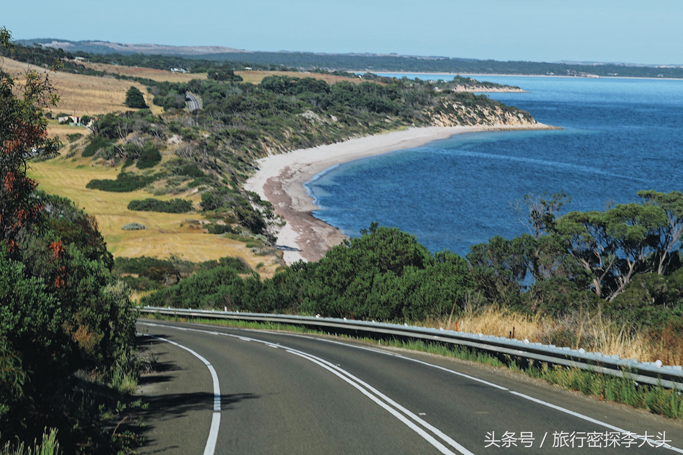 中国哪里可以抱考拉,全球哪里可以抱考拉