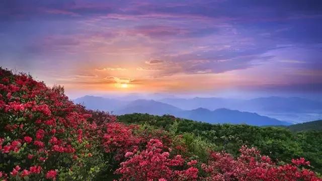 跟着小路旅游不迷路,婺源五一适合去哪里玩