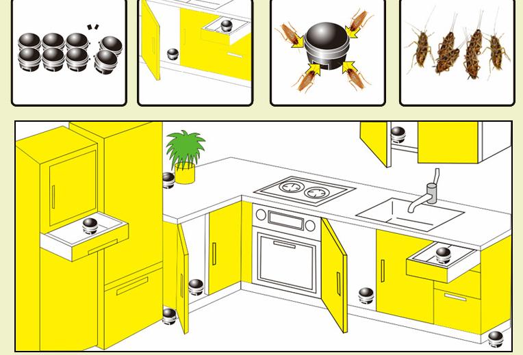 蟑螂一定会咬人吗,海蟑螂有毒吗会咬人吗