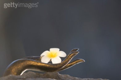 一方一净土一笑一尘缘一念一清净,一方一净土一叶一菩提