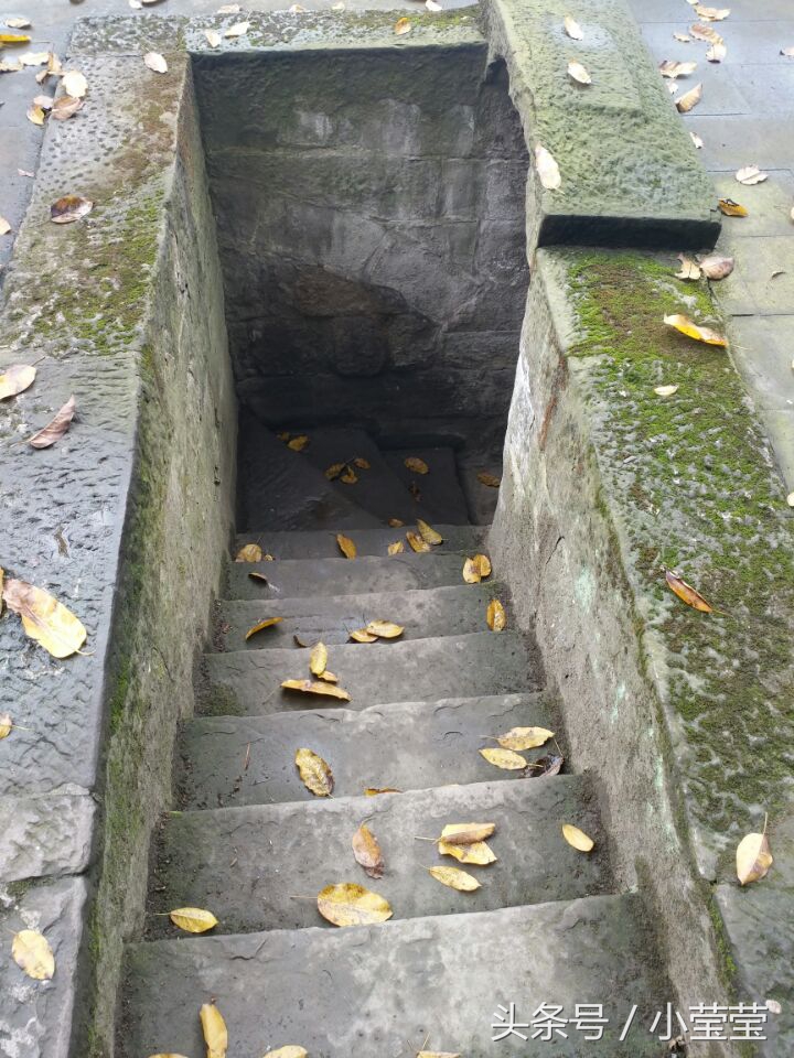 重庆鹅岭公园瞰胜楼到李子坝,重庆鹅岭打卡