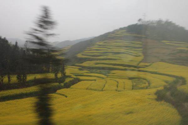 广州出发穷游15天攻略,旅行攻略国内穷游三天三夜