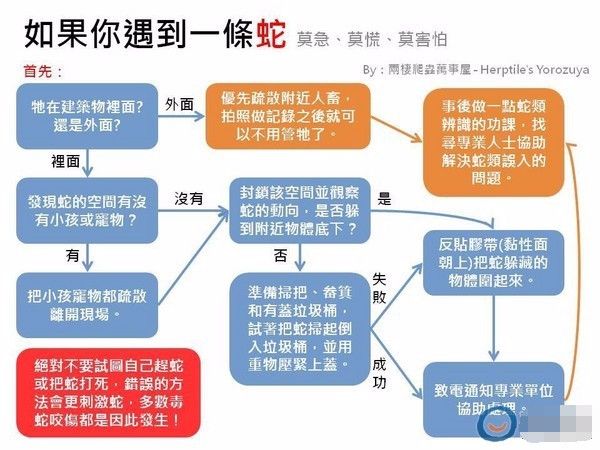 大家野外遇蛇一定要远离注意安全,野外遇到蛇应该站着不动还是跑
