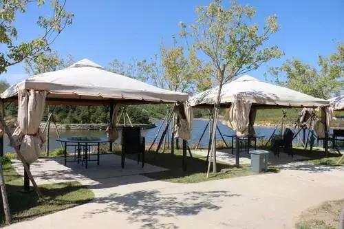 西安3月底周边赏花踏青一日游,武汉踏青自驾一日游推荐