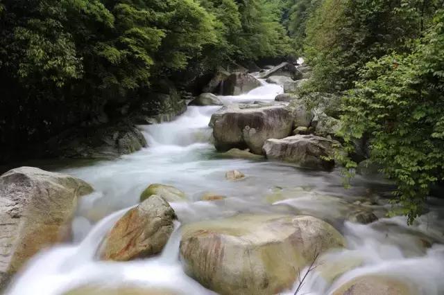 跟着小路旅游不迷路,婺源五一适合去哪里玩