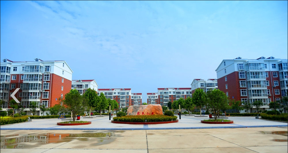 漯河最牛村,漯河最牛的镇