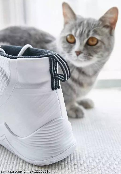 不负责球鞋评测zoomlive,jordanultrafly2实战评测