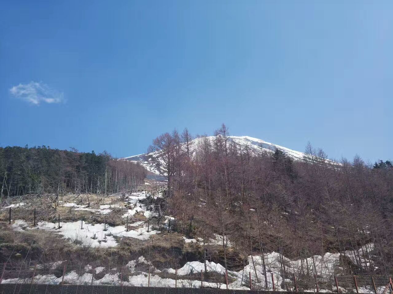 初游日本,日本最值得尊敬的对手