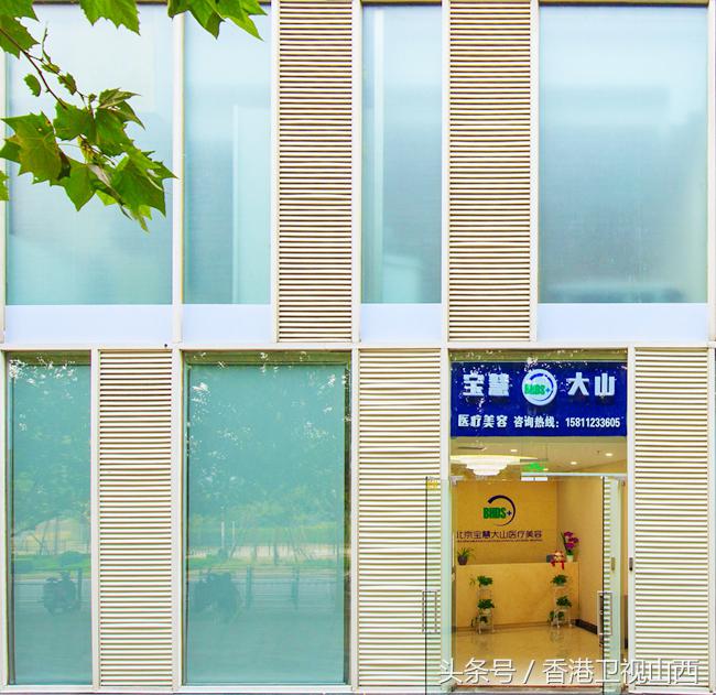 整形美容鬼才之手,医疗美容整形大咖