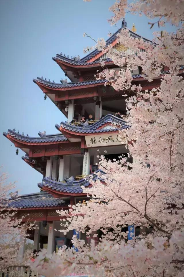 4月照片,4月的照片大全